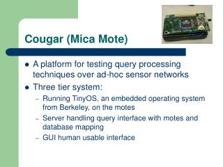 Cougar (Mica Mote)