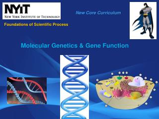 New Core Curriculum