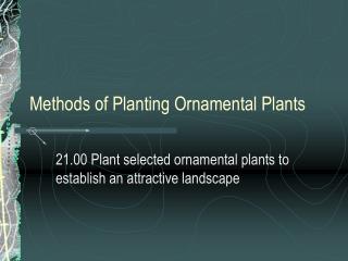 Methods of Planting Ornamental Plants