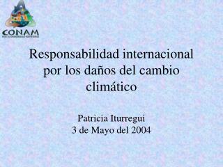 Responsabilidad internacional por los daños del cambio climático