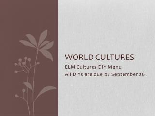 World Cultures