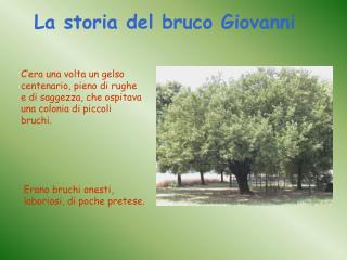 La storia del bruco Giovanni