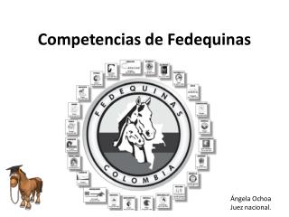 Competencias de Fedequinas