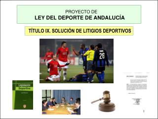 TÍTULO IX. SOLUCIÓN DE LITIGIOS DEPORTIVOS