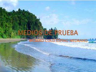 MEDIOS DE PRUEBA