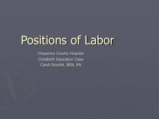 Positions of Labor