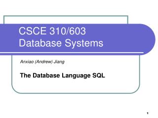 CSCE 310/603 Database Systems