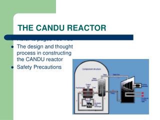 THE CANDU REACTOR