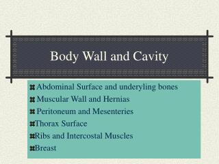 Body Wall and Cavity