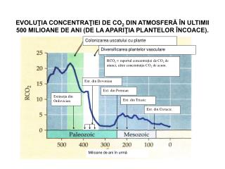 Colonizarea uscatului cu plante