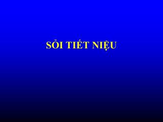 SỎI TIẾT NIỆU