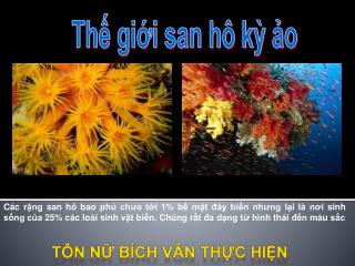 Thế giới san hô kỳ ảo