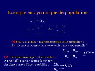 Exemple en dynamique de population