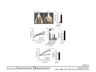 Oludotun Adeyo (2014) 134 , 1589-1598. doi:10.1038/jid.2014.19