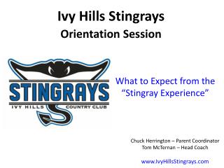 What to Expect from the “Stingray Experience”