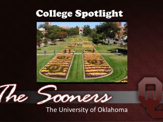 College Spotlight