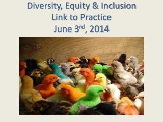 Diversity, Equity &amp; Inclusion Link to Practice June 3 rd , 2014