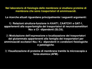 Scopo della ricerca Individuare i determinanti strutturali