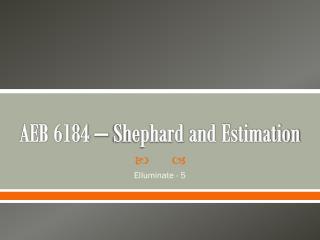 AEB 6184 – Shephard and Estimation