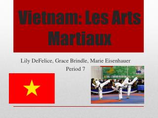 Vietnam: Les Arts Martiaux