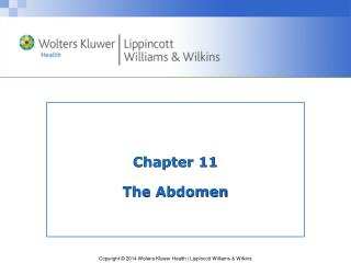 Chapter 11 The Abdomen