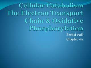 Cellular Catabolism The Electron Transport Chain &amp; Oxidative Phosphorylation