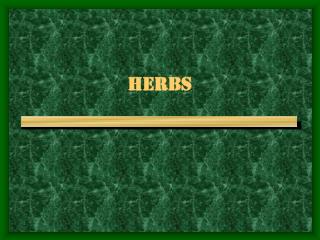 HERBS