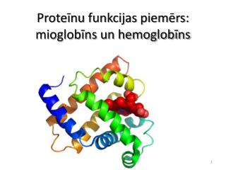 Proteīnu funkcijas piemērs: mioglobīns un hemoglobīns