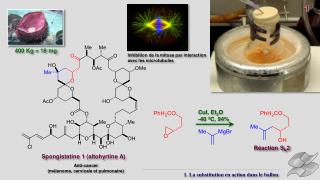 Spongistatine 1 (altohyrtine A)