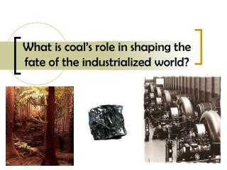 What is coal’s role in shaping the fate of the industrialized world?