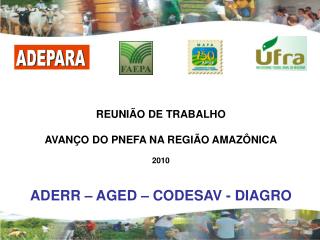 REUNIÃO DE TRABALHO AVANÇO DO PNEFA NA REGIÃO AMAZÔNICA 2010