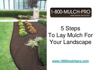 How To Lay Mulch For Your Landscape