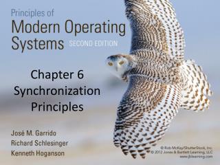 Chapter 6 Synchronization Principles