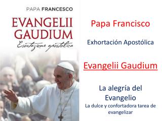 Papa Francisco Exhortación Apostólica Evangelii Gaudium La alegría del Evangelio