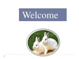 Welcome