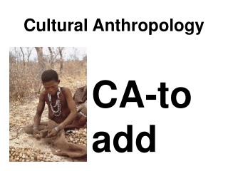 Cultural Anthropology