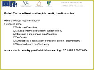 Modul: Tvar a velikost rostlinných buněk, buněčná stěna Tvar a velikost rostlinných buněk