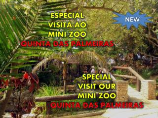 SPECIAL VISIT OUR MINI ZOO QUINTA DAS PALMEIRAS