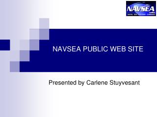 NAVSEA PUBLIC WEB SITE