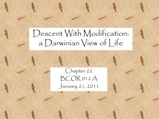 Descent With Modification: a Darwinian View of Life