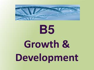 Growth &amp; Development