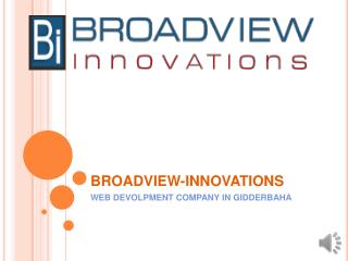 Web development Company in Gidderbaha
