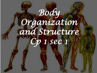 Body Organization and Structure Cp 1 sec 1