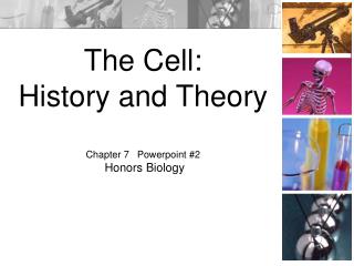 The Cell: History and Theory Chapter 7 Powerpoint #2 Honors Biology