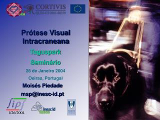 Prótese Visual Intracraneana