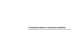 PROGRAMA FORMATIVO: GESTIÓN DEL DESEMPEÑO