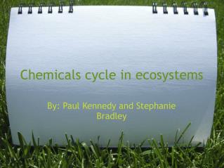 Chemicals cycle in ecosystems