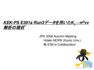 KEK-PS E391a Run3 データを用いた K L →π 0 νν 解析の現状