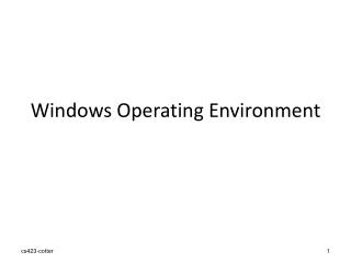 Windows Operating Environment