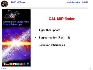 CAL MIP finder